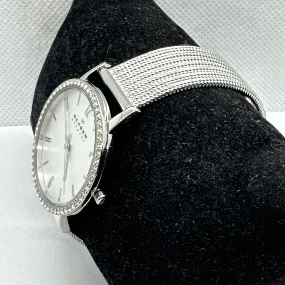 Skagen SKW2284 Women's Silver Stainless Steel Analog Dial Quartz Watch JNA544
